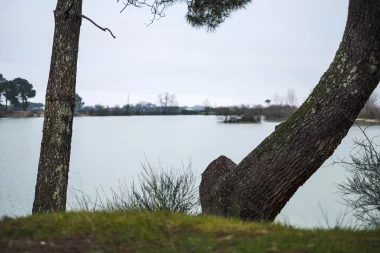Etang de Paloumey   Arbres au bord de l'eau.